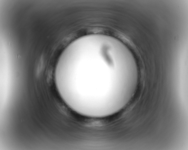 X0000085790073200704091438