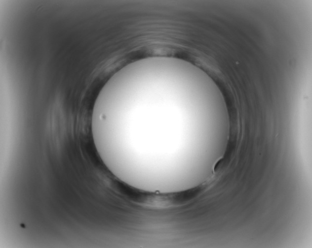 X0000085790078200704091438