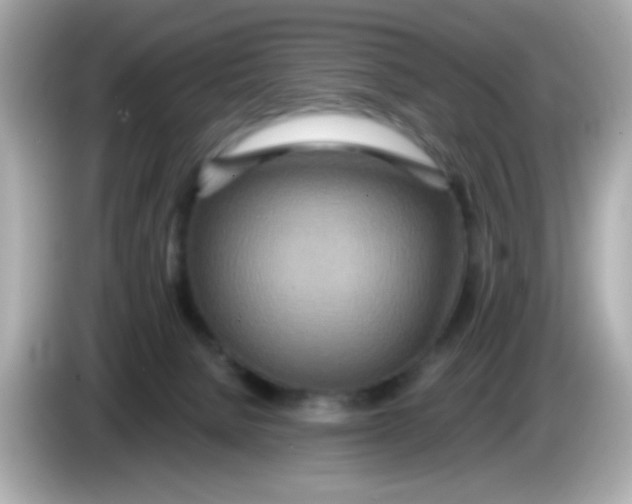 X0000085790080200704091438