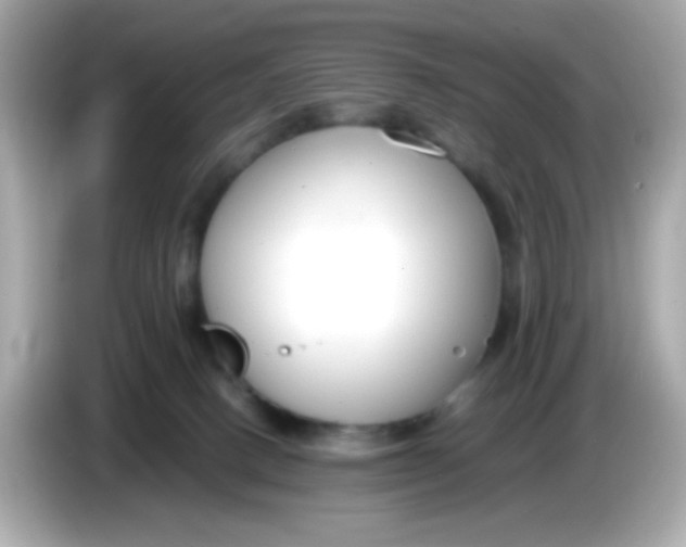 X0000085790082200704091438