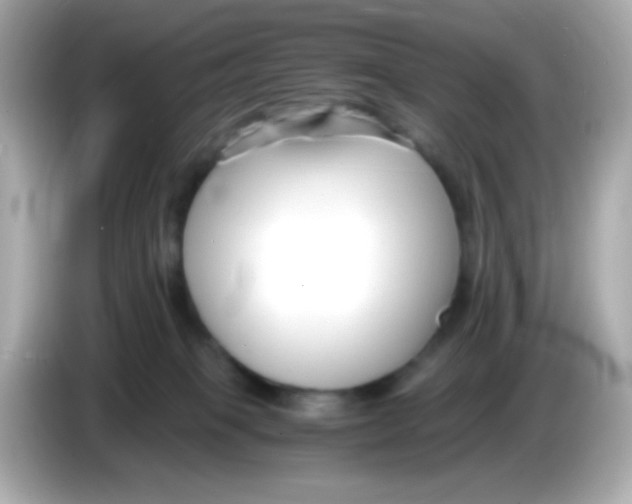 X0000085790085200704091438