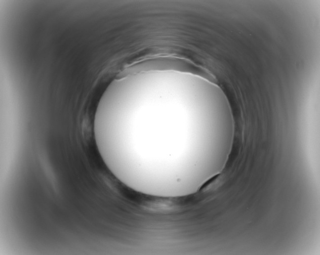 X0000085790086200704091438