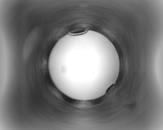X0000085790087200704091438
