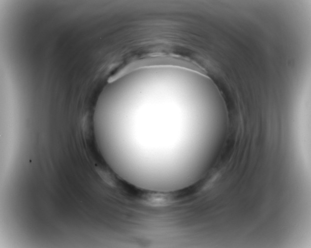 X0000085790088200704091438