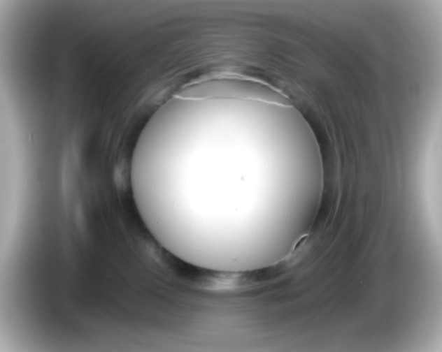 X0000085790090200704091438