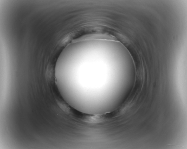 X0000085790092200704091438
