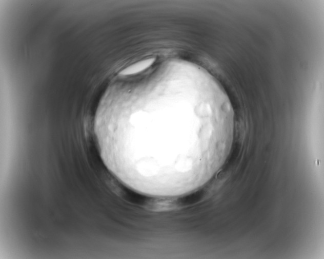 X0000085790093200704091438