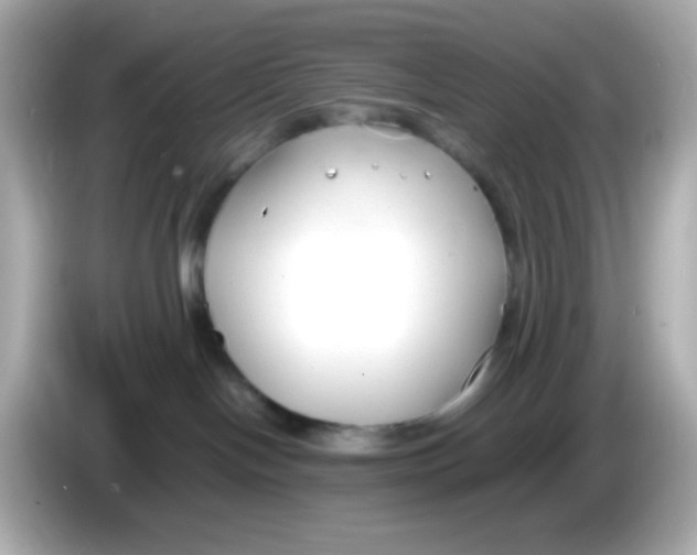 X0000085790094200704091438