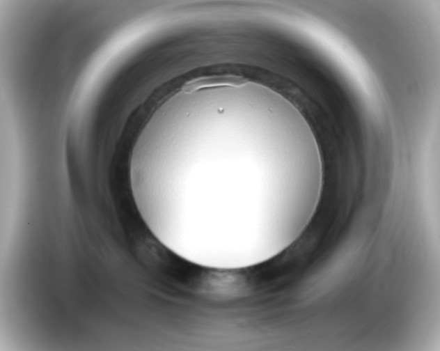X0000085790095200704091438