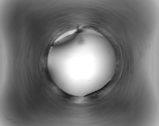 X0000085790096200704091438