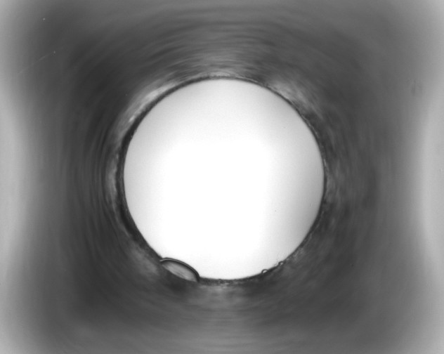 X0000085790098200704091438