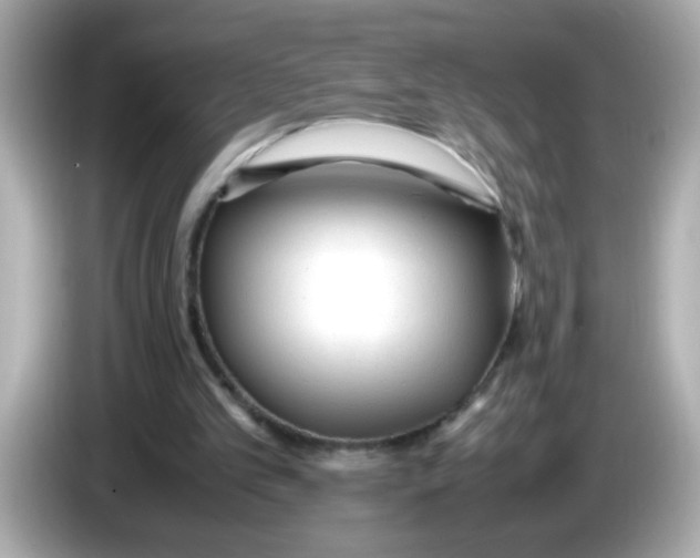X0000085790101200704091438