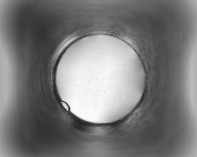 X0000085790103200704091438