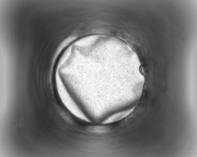 X0000085790104200704091438