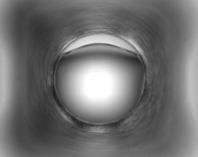 X0000085790105200704091438
