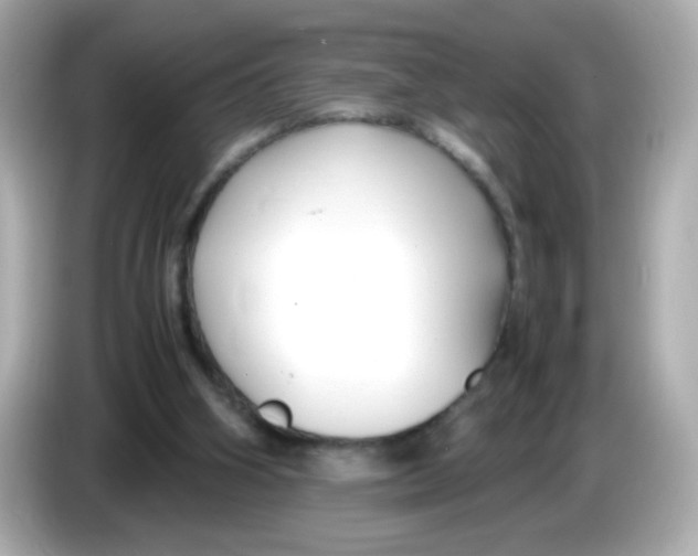 X0000085790106200704091438