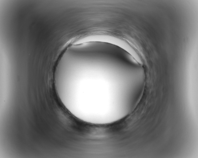 X0000085790107200704091438