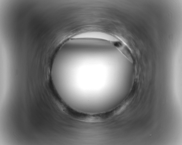 X0000085790109200704091437
