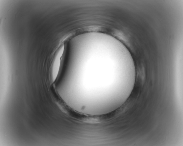 X0000085790110200704091437