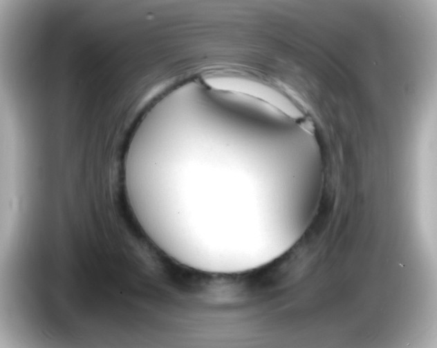 X0000085790111200704091437