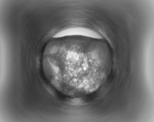 X0000085790114200704091437