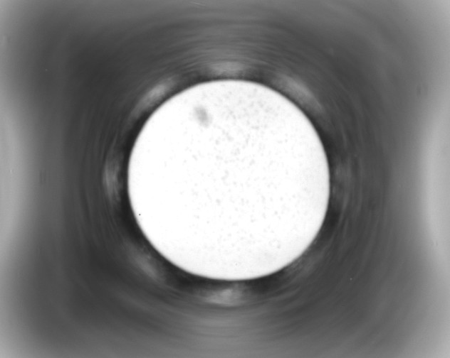 X0000085790116200704091437