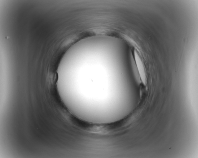 X0000085790117200704091437
