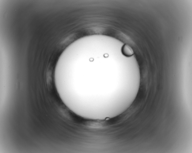 X0000085790122200704091437