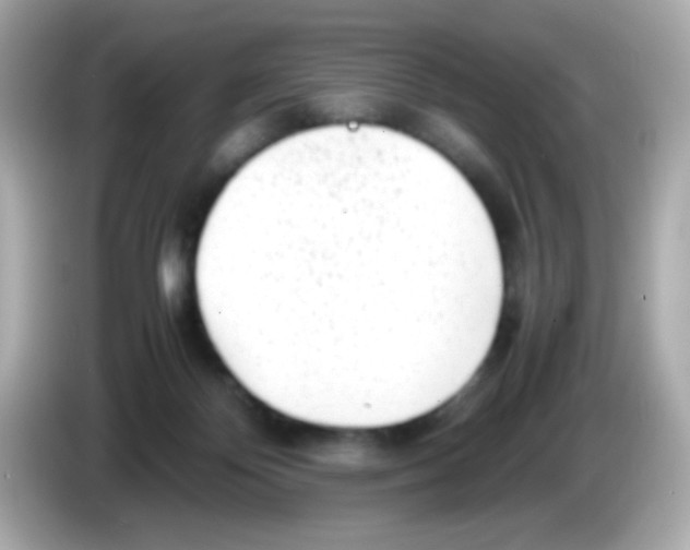 X0000085790124200704091437