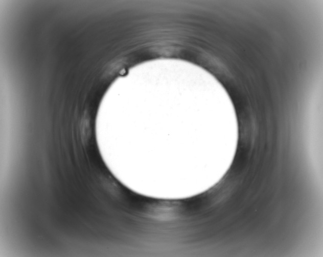 X0000085790128200704091437