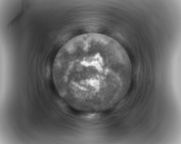 X0000085790130200704091437