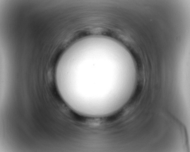 X0000085790131200704091437