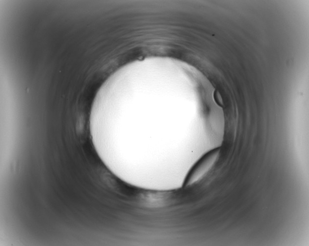 X0000085790134200704091437