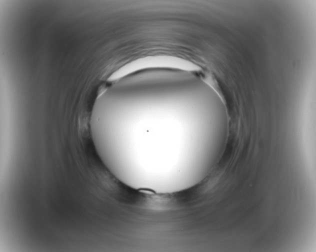 X0000085790141200704091437