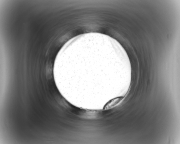 X0000085790144200704091437