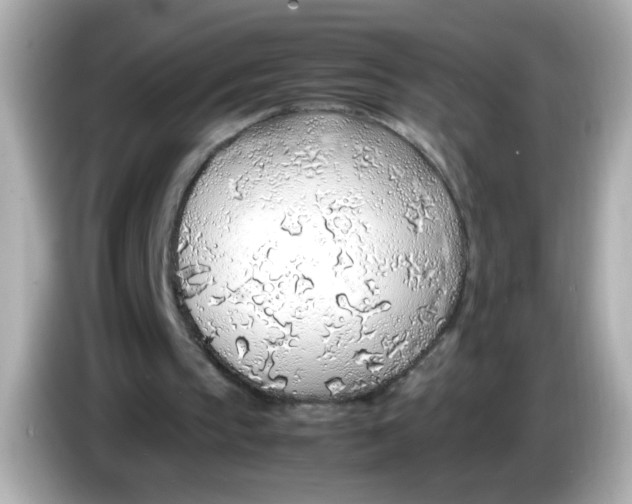 X0000085790145200704091437