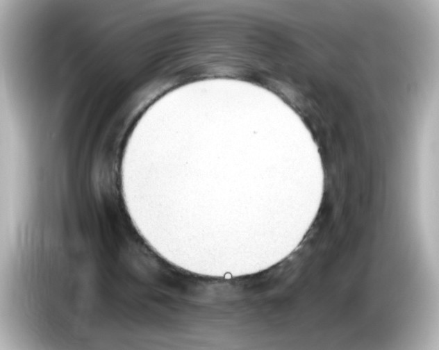 X0000085790146200704091437