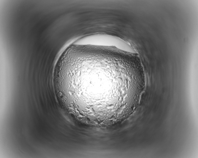 X0000085790147200704091437