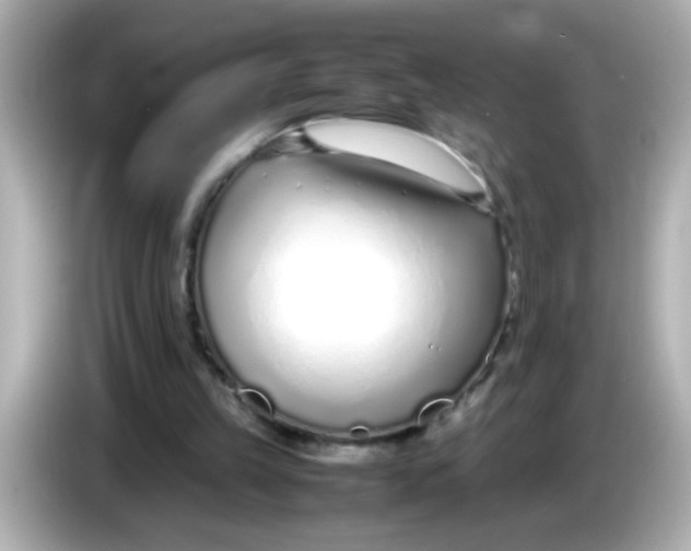 X0000085790149200704091437