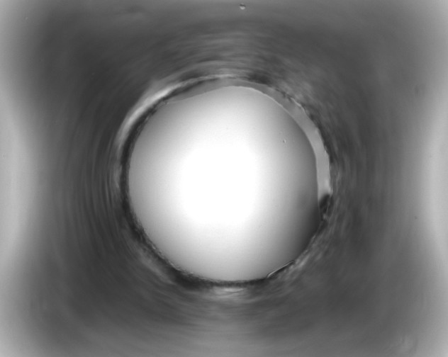 X0000085790150200704091437