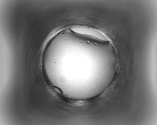 X0000085790151200704091437