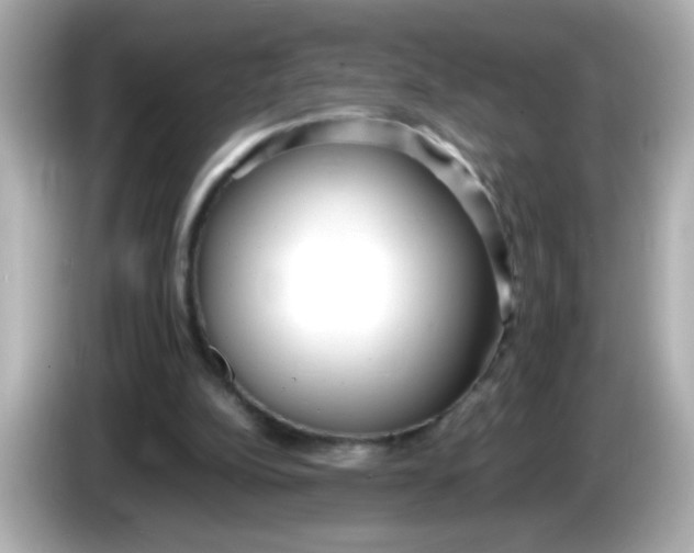 X0000085790152200704091437