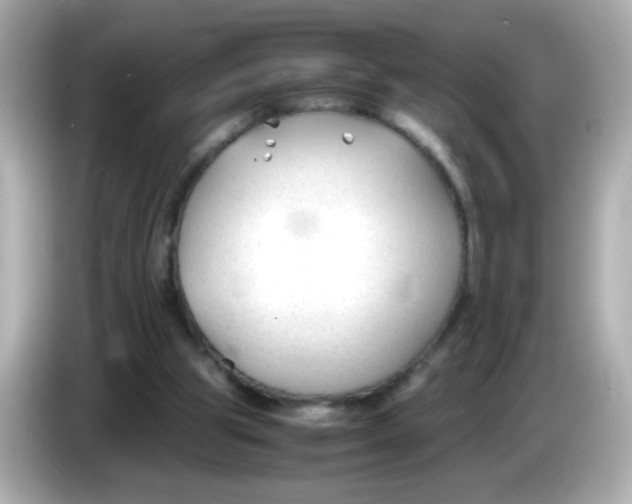 X0000085790153200704091437