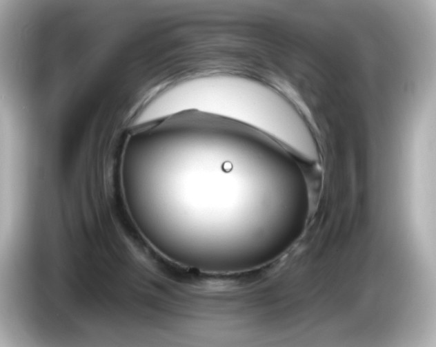 X0000085790154200704091437