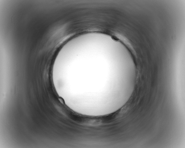 X0000085790155200704091437