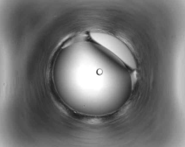 X0000085790156200704091437