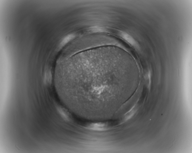 X0000085790158200704091437