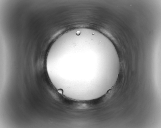 X0000085790159200704091437