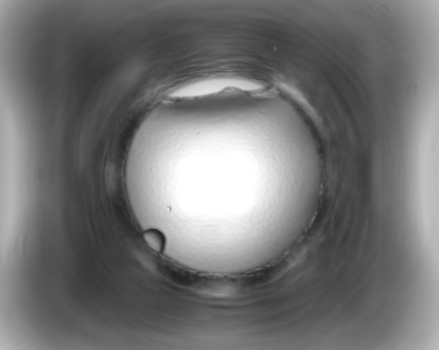 X0000085790161200704091437
