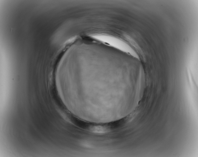 X0000085790163200704091437